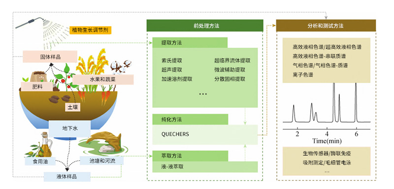 样品前处理和分析测试方法的流程图