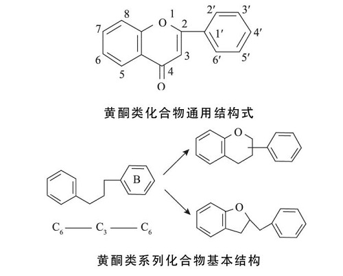 黄酮类化合物结构式