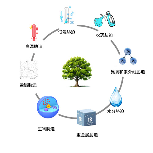 Pro逆境胁迫