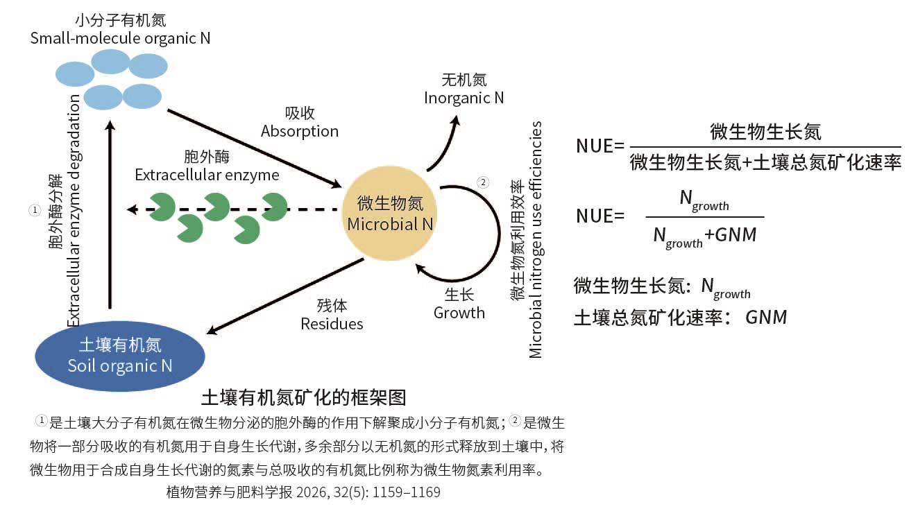 氮利用效率关系结构