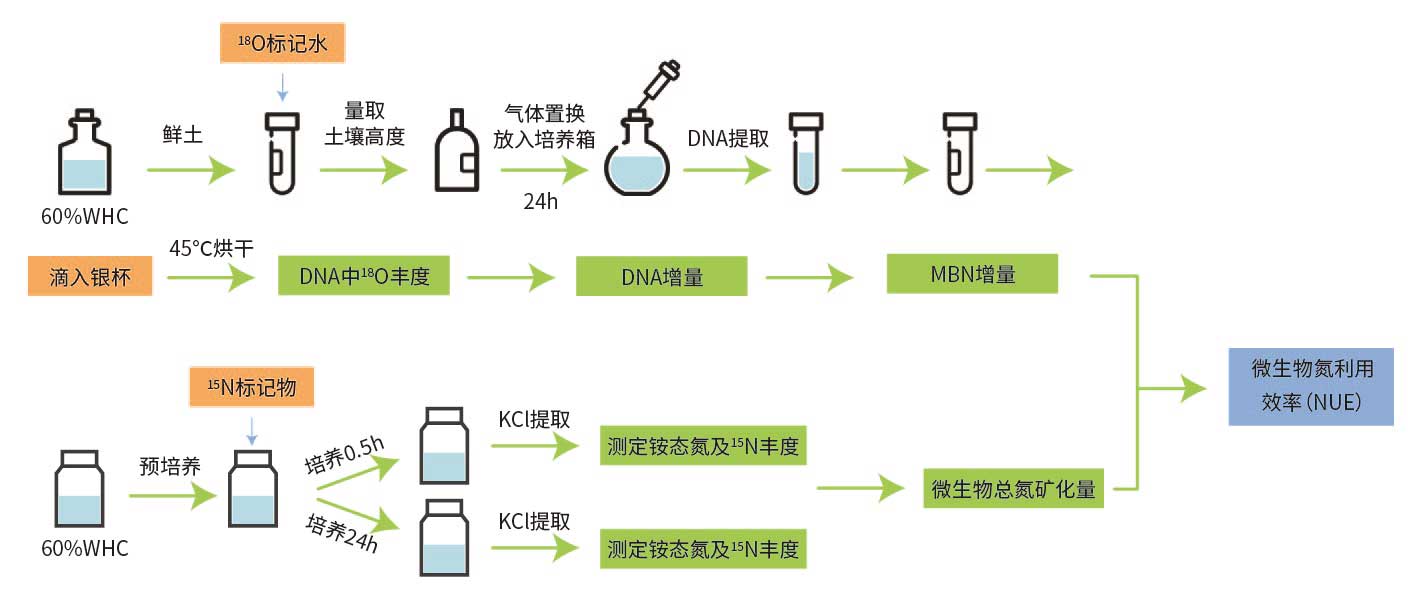 氮利用效率关系结构
