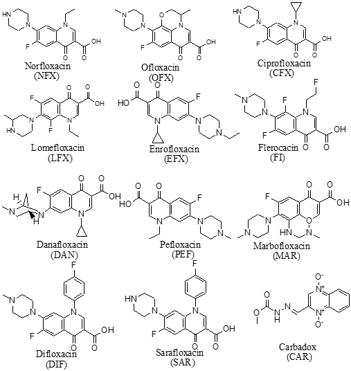 常见氟喹诺酮类抗生素结构图