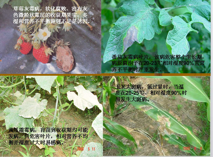抗病图谱