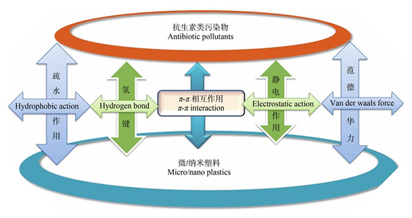 微/纳米塑料和抗生素吸附机理图