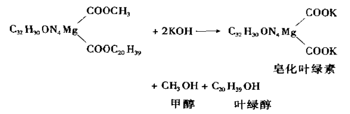 叶绿体色素